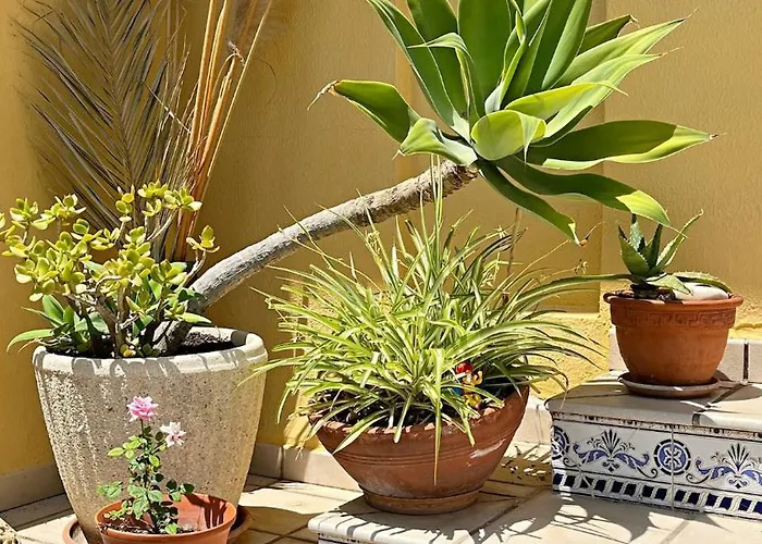 Art House 3br Private Pool *